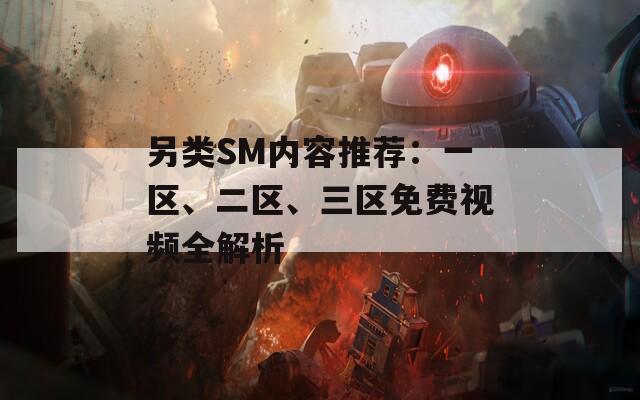 另类SM内容推荐：一区、二区、三区免费视频全解析