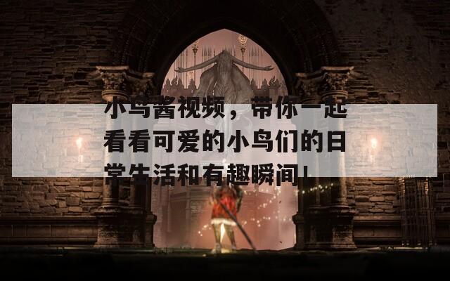 小鸟酱视频，带你一起看看可爱的小鸟们的日常生活和有趣瞬间！