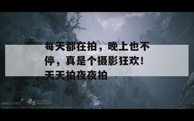 每天都在拍，晚上也不停，真是个摄影狂欢！天天拍夜夜拍