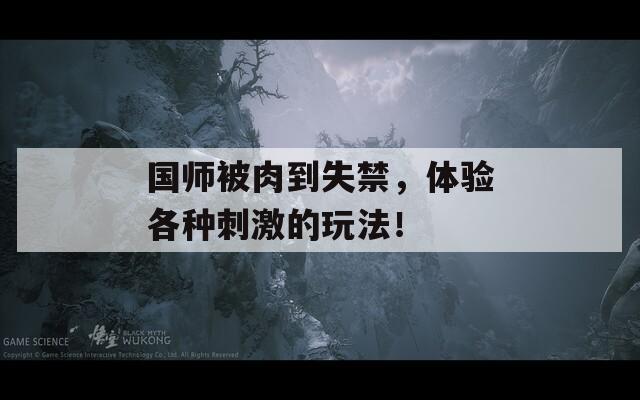 国师被肉到失禁，体验各种刺激的玩法！