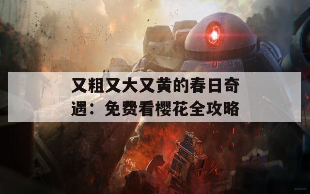 又粗又大又黄的春日奇遇：免费看樱花全攻略