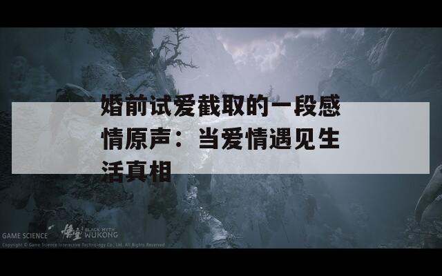 婚前试爱截取的一段感情原声：当爱情遇见生活真相