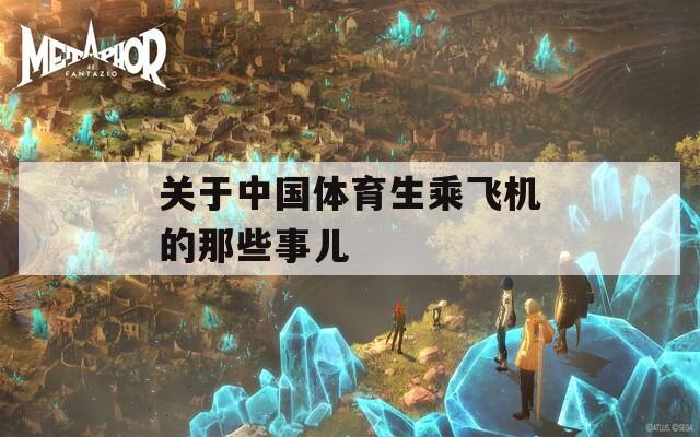 关于中国体育生乘飞机的那些事儿