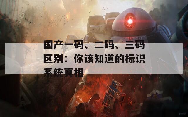 国产一码、二码、三码区别：你该知道的标识系统真相