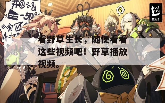 看野草生长，随便看看这些视频吧！野草播放视频。