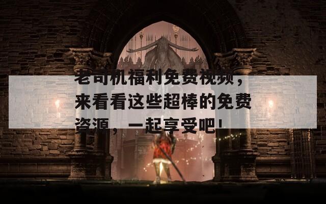 老司机福利免费视频，来看看这些超棒的免费资源，一起享受吧！