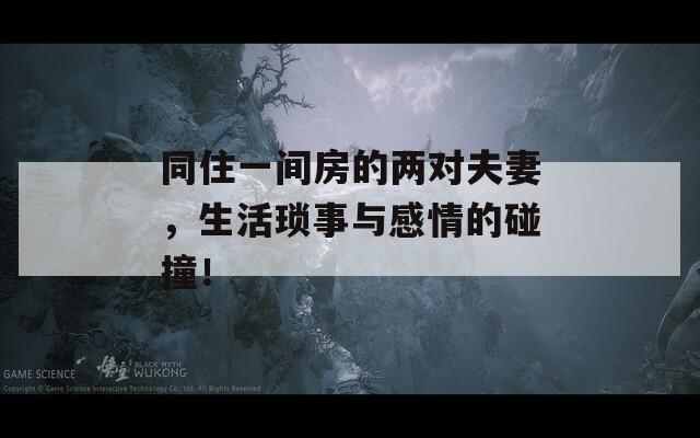 同住一间房的两对夫妻，生活琐事与感情的碰撞！