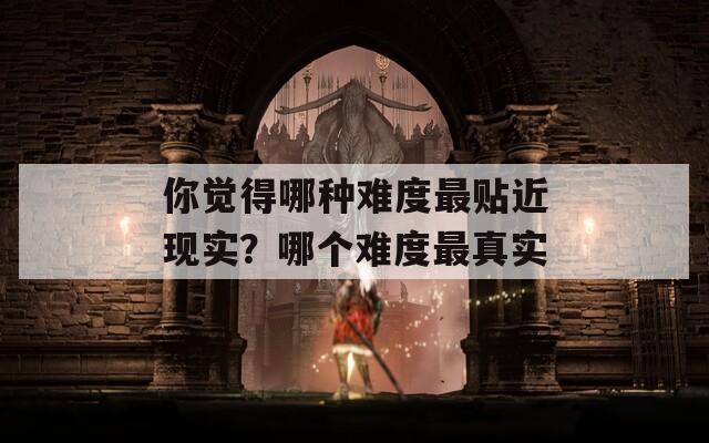 你觉得哪种难度最贴近现实？哪个难度最真实