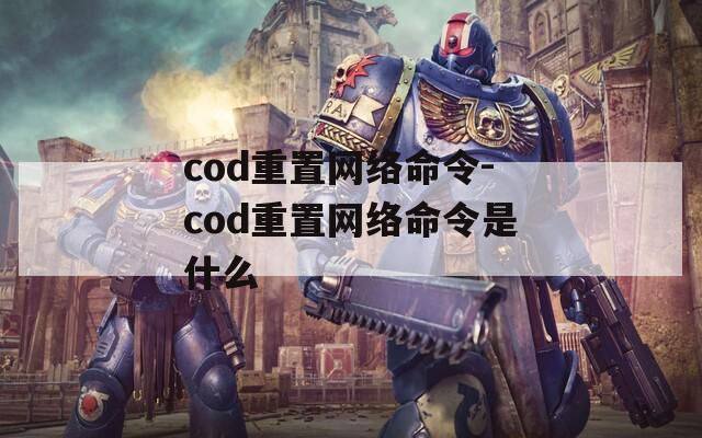 cod重置网络命令-cod重置网络命令是什么