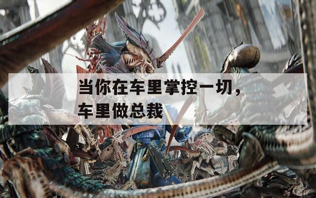 当你在车里掌控一切，车里做总裁