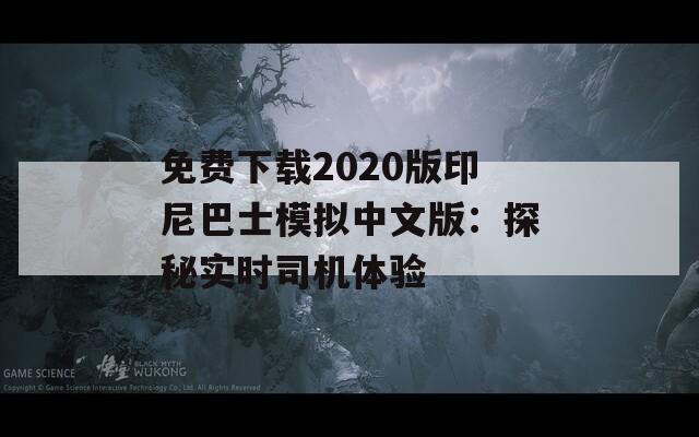 免费下载2020版印尼巴士模拟中文版：探秘实时司机体验