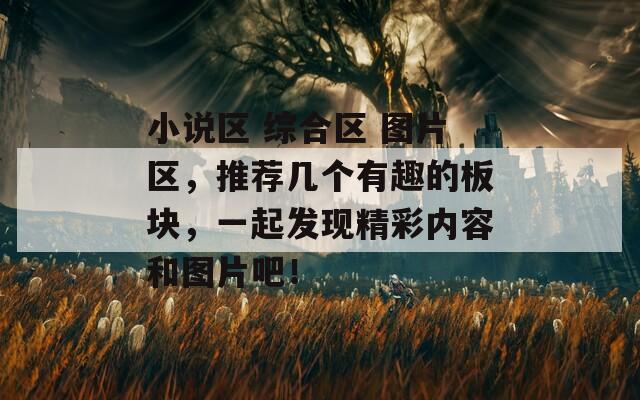 小说区 综合区 图片区，推荐几个有趣的板块，一起发现精彩内容和图片吧！