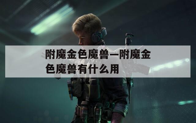 附魔金色魔兽—附魔金色魔兽有什么用