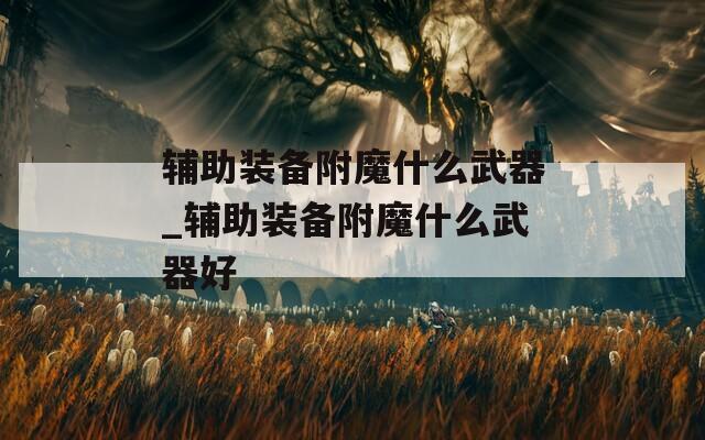 辅助装备附魔什么武器_辅助装备附魔什么武器好