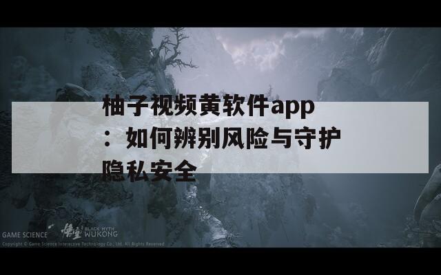 柚子视频黄软件app：如何辨别风险与守护隐私安全