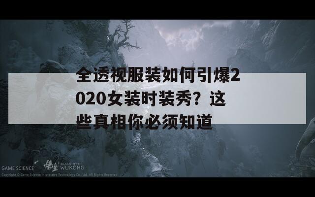 全透视服装如何引爆2020女装时装秀？这些真相你必须知道