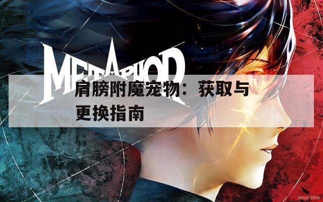 肩膀附魔宠物：获取与更换指南