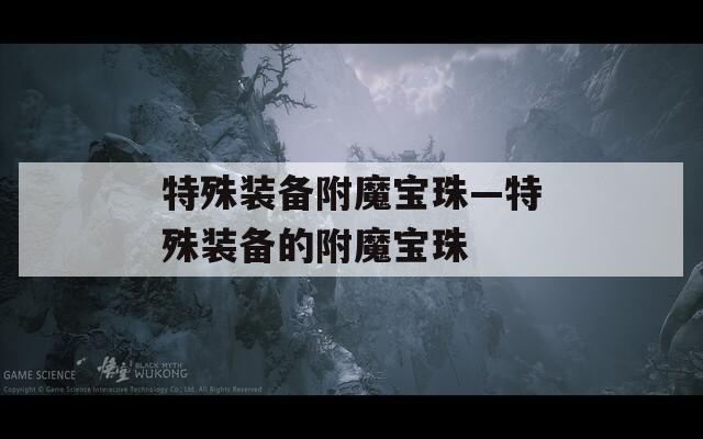 特殊装备附魔宝珠—特殊装备的附魔宝珠
