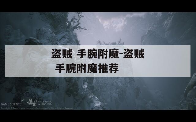 盗贼 手腕附魔-盗贼 手腕附魔推荐