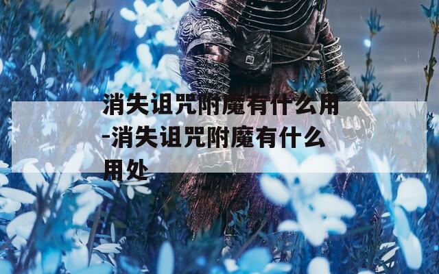 消失诅咒附魔有什么用-消失诅咒附魔有什么用处