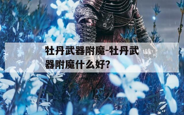 牡丹武器附魔-牡丹武器附魔什么好？