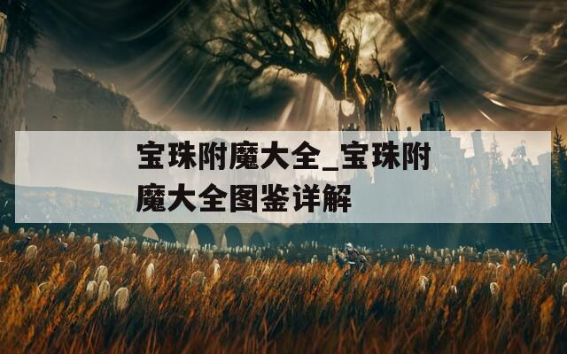 宝珠附魔大全_宝珠附魔大全图鉴详解