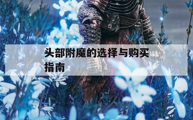 头部附魔的选择与购买指南