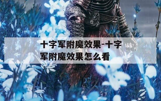 十字军附魔效果-十字军附魔效果怎么看
