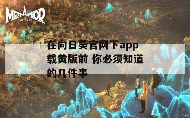 在向日葵官网下app载黄版前 你必须知道的几件事