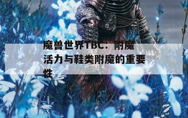 魔兽世界TBC：附魔活力与鞋类附魔的重要性