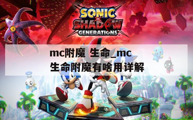 mc附魔 生命_mc生命附魔有啥用详解