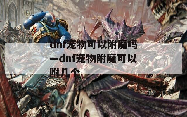 dnf宠物可以附魔吗—dnf宠物附魔可以附几个
