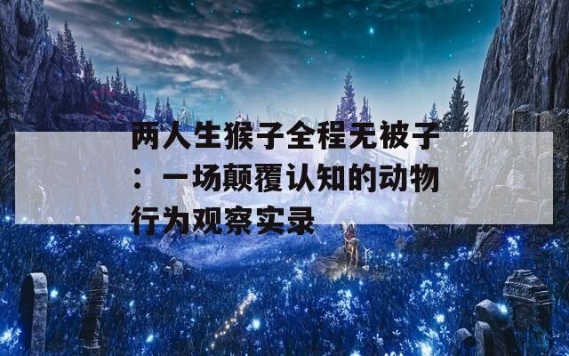 两人生猴子全程无被子：一场颠覆认知的动物行为观察实录