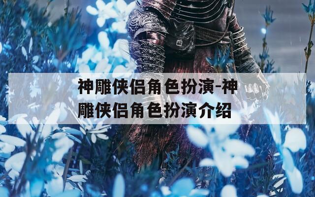 神雕侠侣角色扮演-神雕侠侣角色扮演介绍