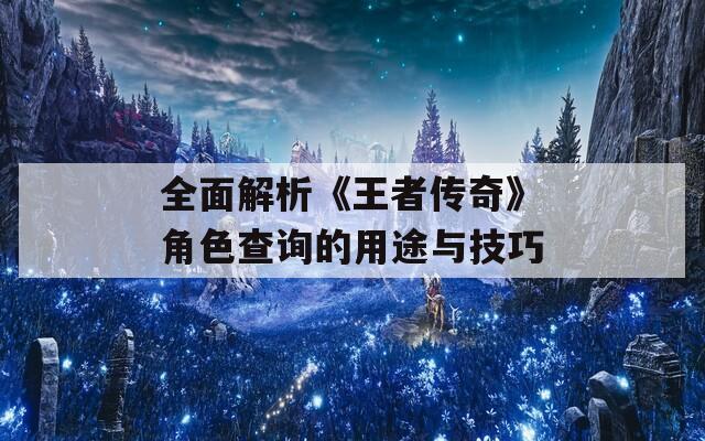 全面解析《王者传奇》角色查询的用途与技巧