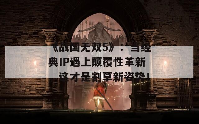 《战国无双5》：当经典IP遇上颠覆性革新，这才是割草新姿势！