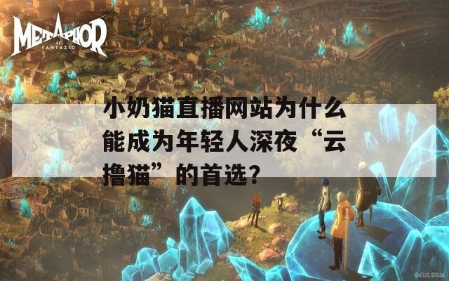 小奶猫直播网站为什么能成为年轻人深夜“云撸猫”的首选？