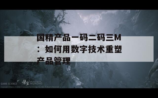 国精产品一码二码三M：如何用数字技术重塑产品管理