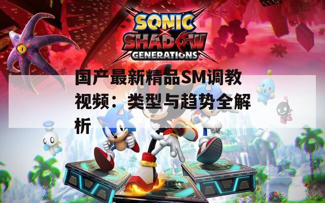 国产最新精品SM调教视频：类型与趋势全解析