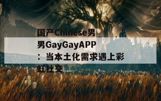 国产Chinese男男GayGayAPP：当本土化需求遇上彩虹社交