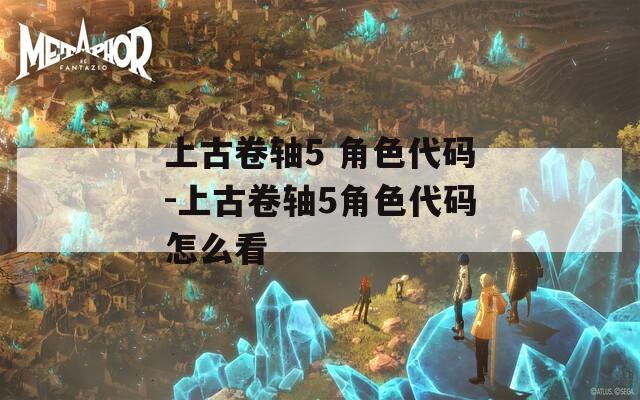 上古卷轴5 角色代码-上古卷轴5角色代码怎么看